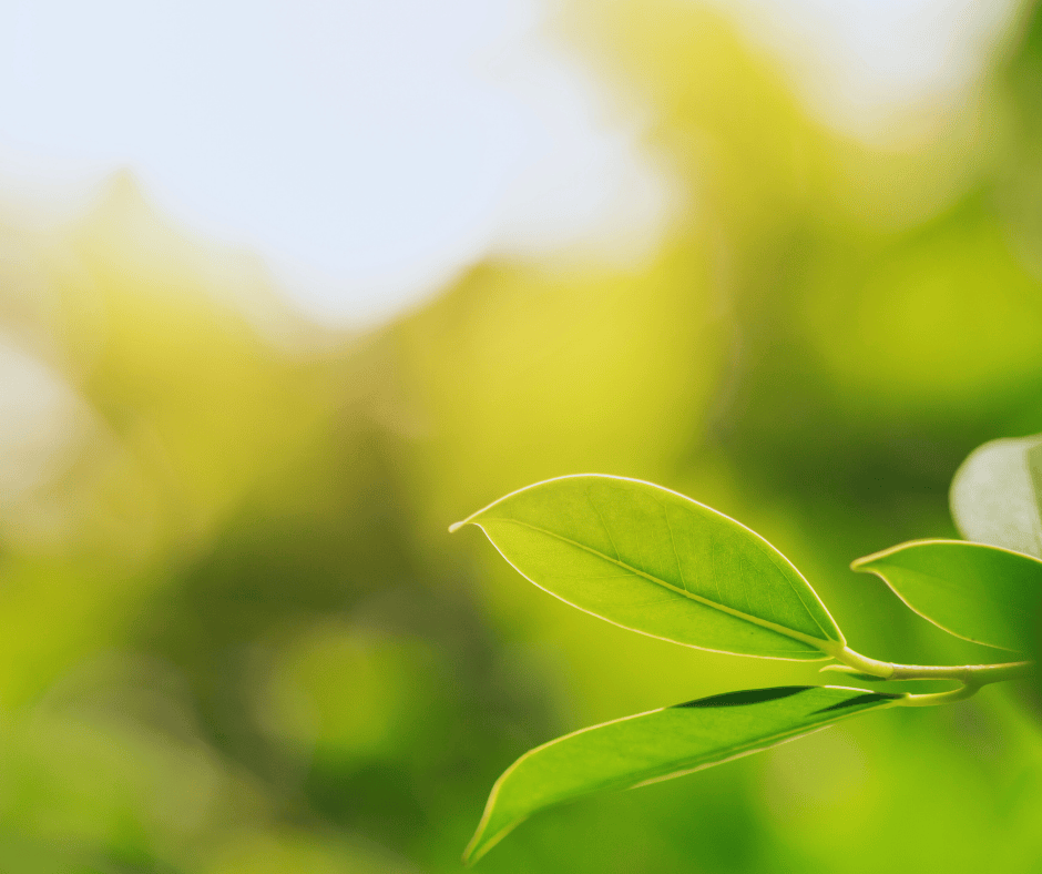 Air Conditioning Replacement